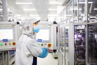 你沒見過的動力電池智慧工廠模樣——法蘭克福技術(shù)沙龍?zhí)接懶畔⒓夹g(shù)咨詢服務(wù)